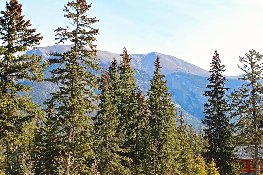 Luxury Canmore Vacations المظهر الخارجي الصورة