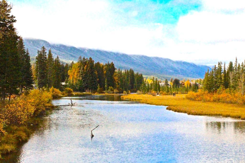 Luxury Canmore Vacations المظهر الخارجي الصورة